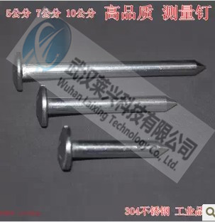 优质304不锈钢测量钉/水准道钉/界址钉