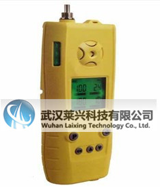 泵吸式多参数气体检测仪(煤安型)CD4/B 